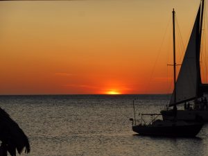Bonaire Karibik Tauchen