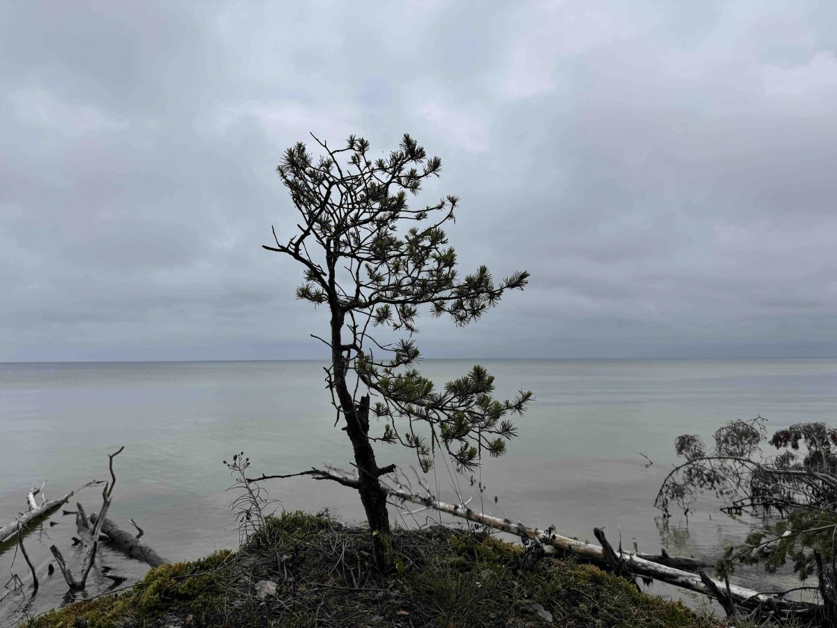 Cap Kolka